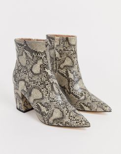 aloud pointed block heel ankle boots in snake-Multi