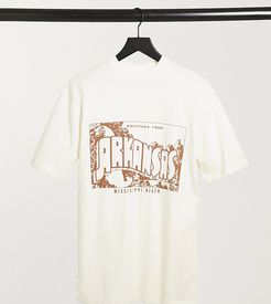 inspired unisex arkansas print t-shirt in white