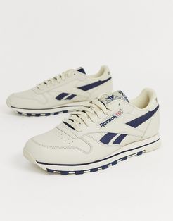 classic leather sneakers in off white with navy vector