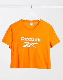 large logo crew neck cropped t-shirt in white-Orange