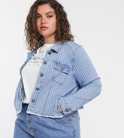 stripe denim jacket in blue-Multi