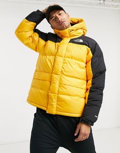 Himalayan puffer jacket in yellow