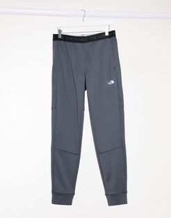 TNL sweatpants in gray-Grey