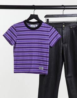 fitted t-shirt with logo in stripe-Purple
