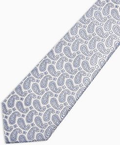 paisley tie in silver and blue