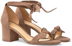 Clarita Ankle Tie Sandals