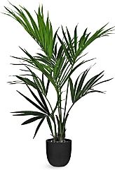 Kentia Palm Faux Plant Arrangement