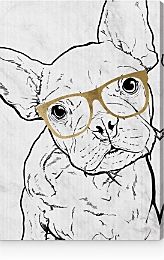 Frenchie with Gold Glasses Wall Art, 24 x 36