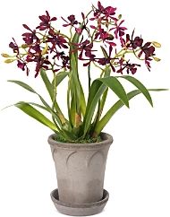 Cattleya Faux Floral Orchids