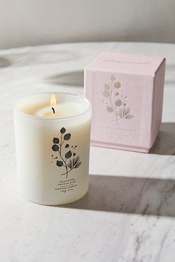 Eucalyptus + Siberian Pine Candle by Free People, Eucalyptus + Siberian Pine, One Size