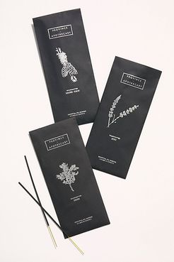 Incense by Province Apothecary at Free People, Black Spruce, One Size