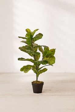 Fiddle Leaf Potted Faux Plant