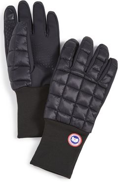 Northern Glove Liner