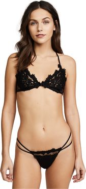 Dotted Netted Bra with Venise Lace