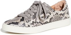 Ivy Low Lace Sneakers