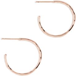 Taner Small Hoop Earrings