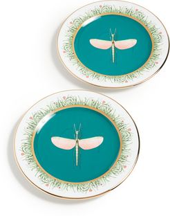 Dessert Plates Set of 2