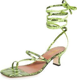 Betty Lace Up Sandals
