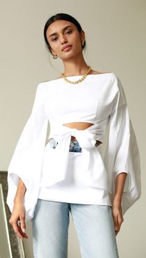 Fig Sleeve Top