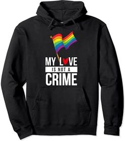 My Love Is Not A Crime LGBTQ Gay Pride Stuff Flag Equality Felpa con Cappuccio
