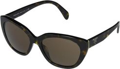 0PR 16XS (Dark Havana/Dark Brown) Fashion Sunglasses