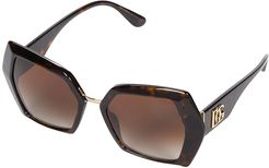 DG4377 (Havana/Havana/Brown Gradient) Fashion Sunglasses