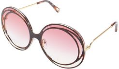 Carlina CE170SL (Havana Gradient/Rose) Fashion Sunglasses