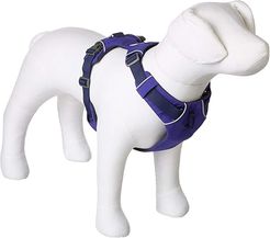 Front Range(r) Harness (Huckleberry Blue) Dog Leash