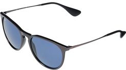 RB4171 Erika Round Sunglasses 54 mm (Metallic Cipria/Black) Fashion Sunglasses