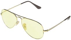 RB3689 Aviator Metal II Metal Sunglasses 58 mm (Gold 3) Fashion Sunglasses