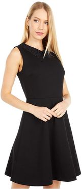 Lace Collar Ponte Dress (Black) Women's Dress