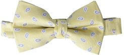 Mini-Paisley Bow Tie (Big Kids) (Yellow) Ties