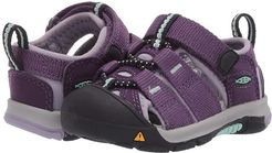 Newport H2 (Toddler) (Purple Pennant/Lavender Gray) Girls Shoes