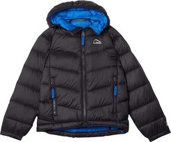 Ultralight 650 Down Jacket (Little Kids) (Black) Clothing