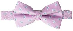 Mini-Paisley Bow Tie (Big Kids) (Pink) Ties