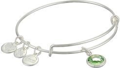 Swarovski Color Code Bangle Bracelet (August/Peridot Color/Shiny Silver) Bracelet