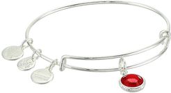 Swarovski Color Code Bangle Bracelet (July/Light Siam Color/Shiny Silver) Bracelet