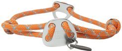 Knot A Collar (Pumpkin Orange) Dog Accessories