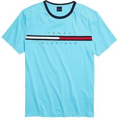 Signature Stripe Tommy T-Shirt (Bachelor Button) Men's Clothing