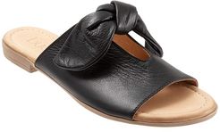 Joley (Black) Women's Shoes