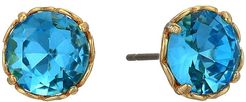 That Sparkle Round Earrings (Aquamarine 1) Earring