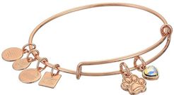 Charity By Design, Paw Print Duo Charm Bangle (Shiny Rose) Bracelet