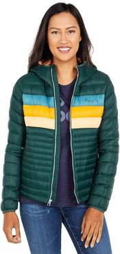 Fuego Down Hooded Jacket (Dark Forest Stripes) Women's Clothing