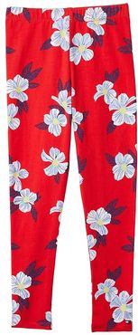 Healy Print Leggings with Elastic Waist (High Risk Red/Multi) Women's Casual Pants