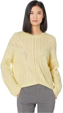Open Knit Cable Crew (Sun Creme) Women's Clothing