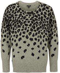 Long Sleeve Animal Sweater (Mosstone) Women's Sweater