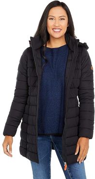 Sealy Matte Finish Stretch Hooded Puffer Jacket (Black) Women's Clothing