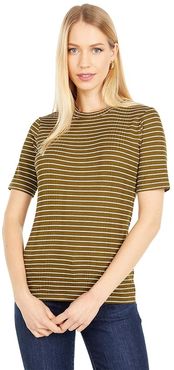 Variegated Rib Striped Short Sleeve Crew (Botanica/Off-White) Women's Clothing