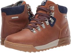 Patch (Brown/Navy) Women's Shoes