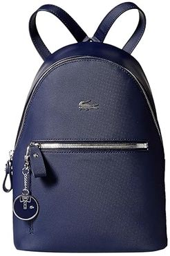 Daily Classic Backpack (Peacoat Blue) Backpack Bags